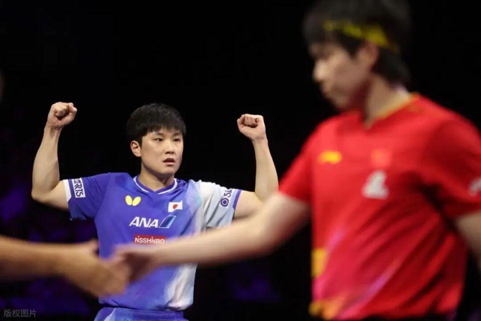 选手张本智, 樊振东会夺, dingy 选手张本智, 樊振东会夺, dingy